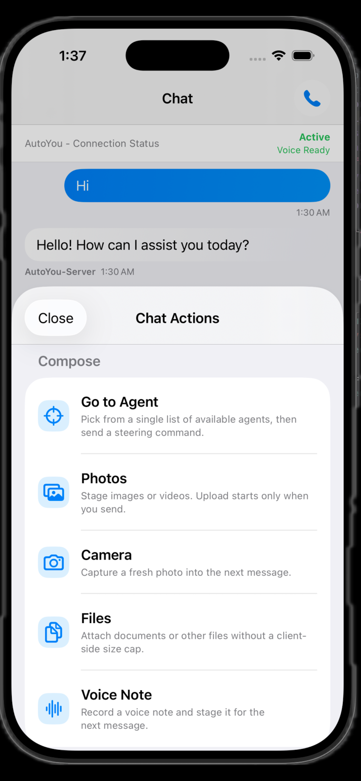 AutoYou chat actions sheet
